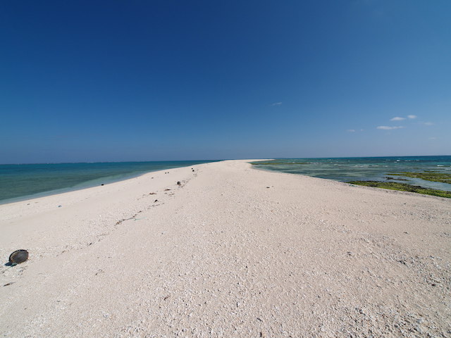 サンゴでできた砂州